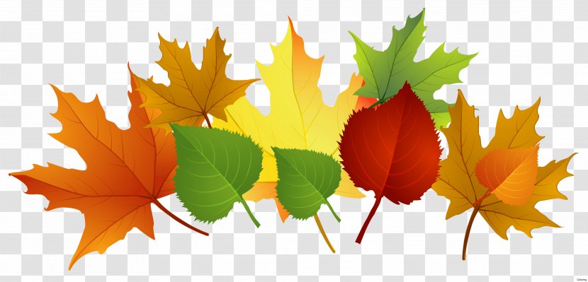 Autumn Leaf Color Clip Art - Maple - Leaves Transparent PNG