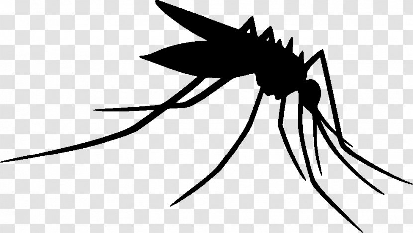 Mosquito Clip Art Insect Silhouette Line - Blackandwhite Transparent PNG