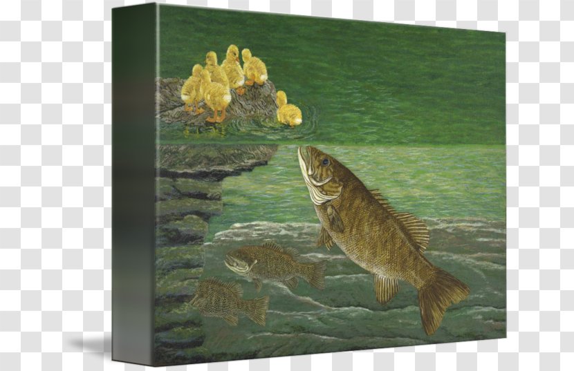 Painting Smallmouth Bass Fishing - Grass Transparent PNG