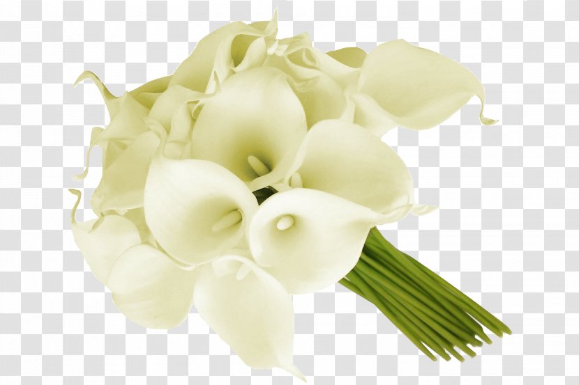 Arum-lily Flower Bouquet Cut Flowers Floral Design - Callalily Transparent PNG