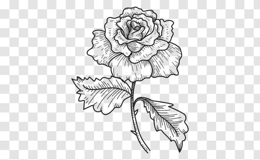 Flower Drawing Art - Tree - Sketch Transparent PNG