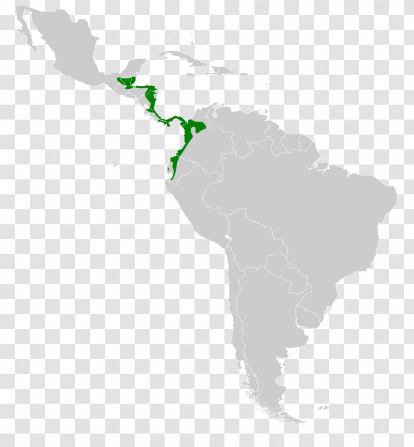 Latin America United States Central Southern Cone The Guianas - Water Transparent PNG