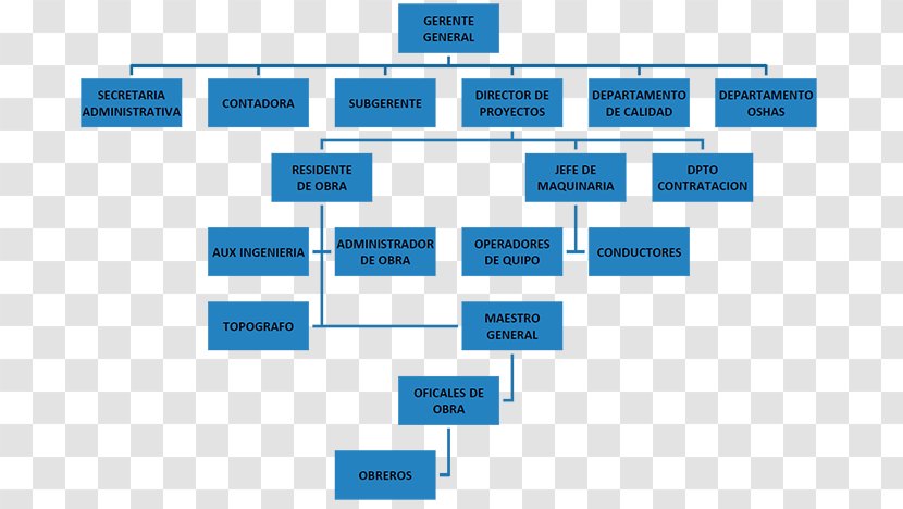 Organizational Chart Architectural Engineering Structure Empresa - Organigrama Transparent PNG