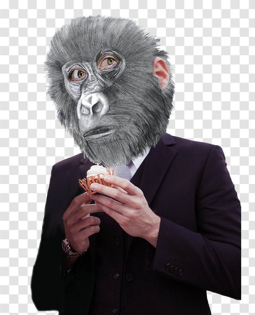 Gorilla Monkey Mask Snout Ape - Great Transparent PNG