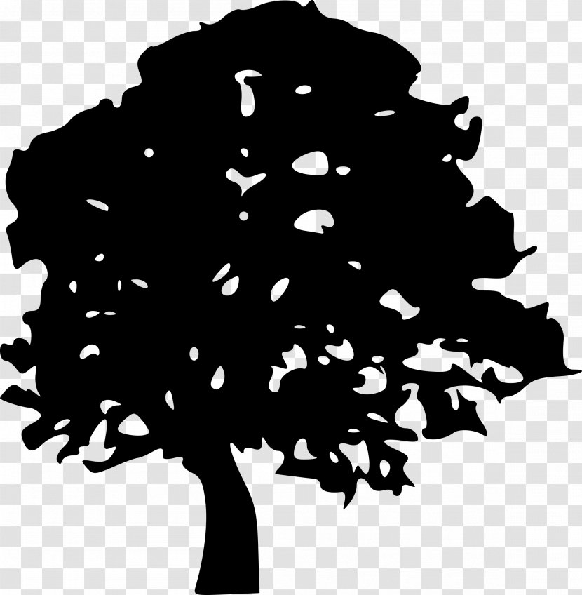 Tree Oak Silhouette Clip Art - Black Transparent PNG