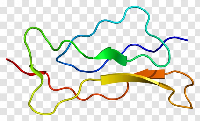 Interleukin 15 Receptor, Alpha Subunit 11 Protein G - Il2 Receptor Transparent PNG