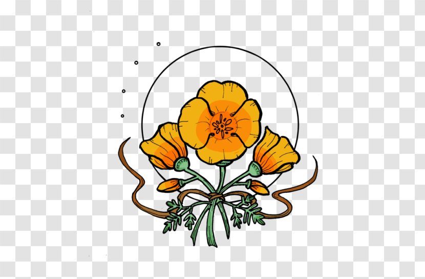 Cut Flowers Floral Design Art - Floristry - California Poppy Transparent PNG