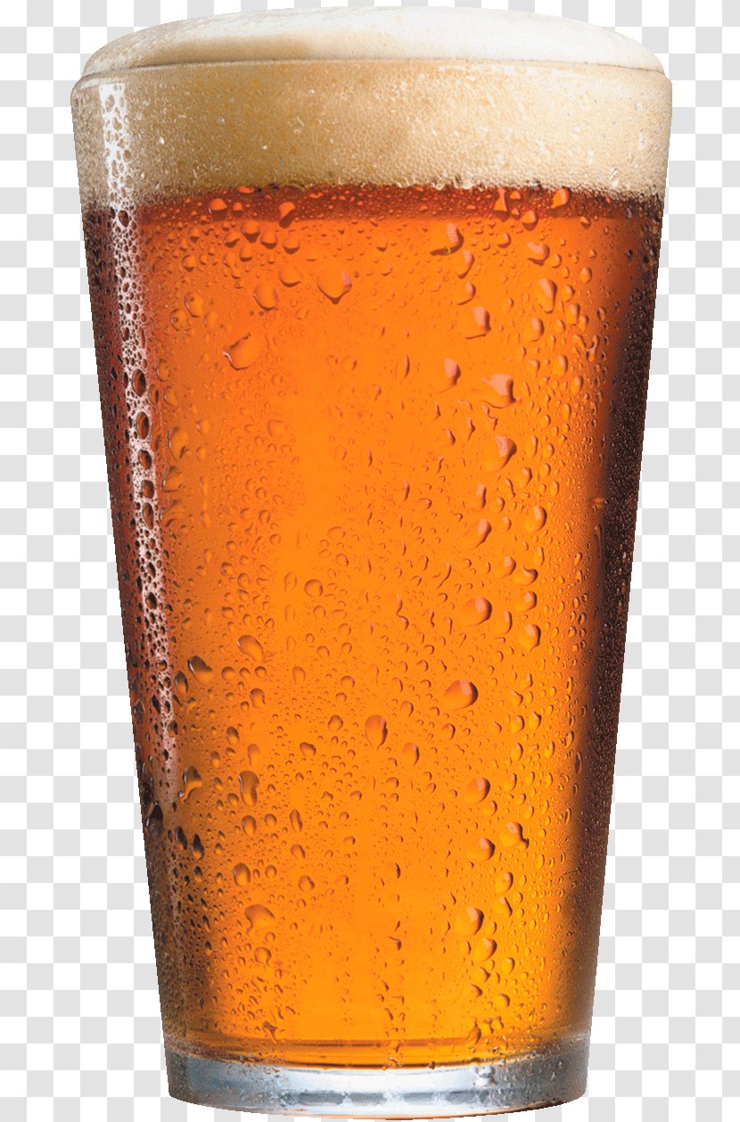 Beer Bitter Pale Ale Pint Glass Brewery - Bottle Transparent PNG