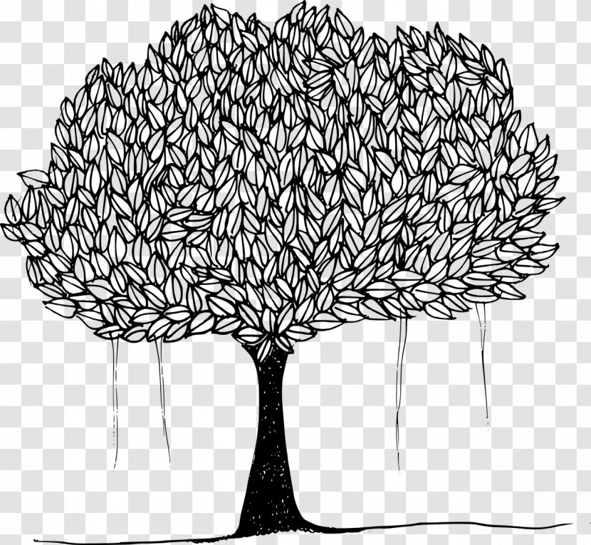 Banyan Tree Common Fig Leaf Clip Art - Line Transparent PNG
