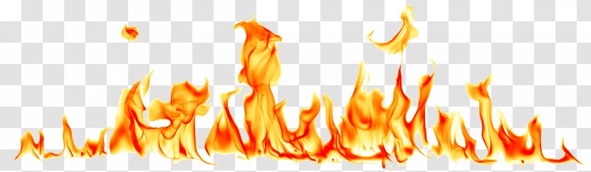 Flame This Word Now Desktop Wallpaper Fire Clip Art - Grass Transparent PNG