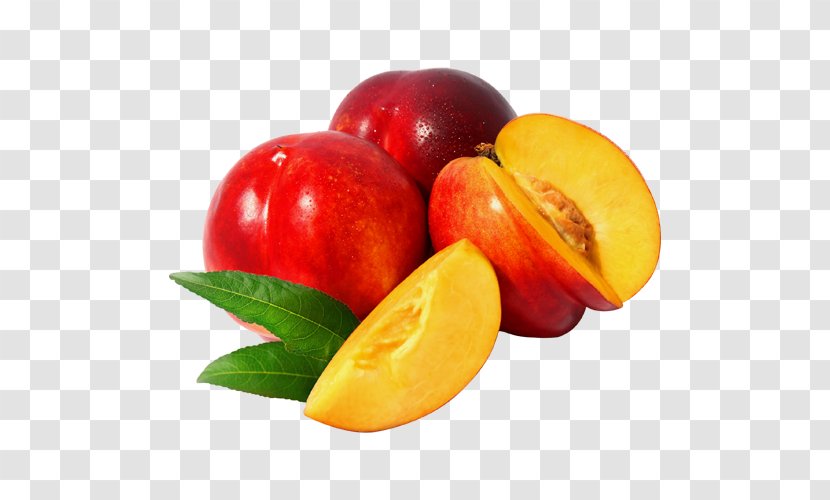Nectarine Fruit Tree Apricot Vegetable - Mango Transparent PNG