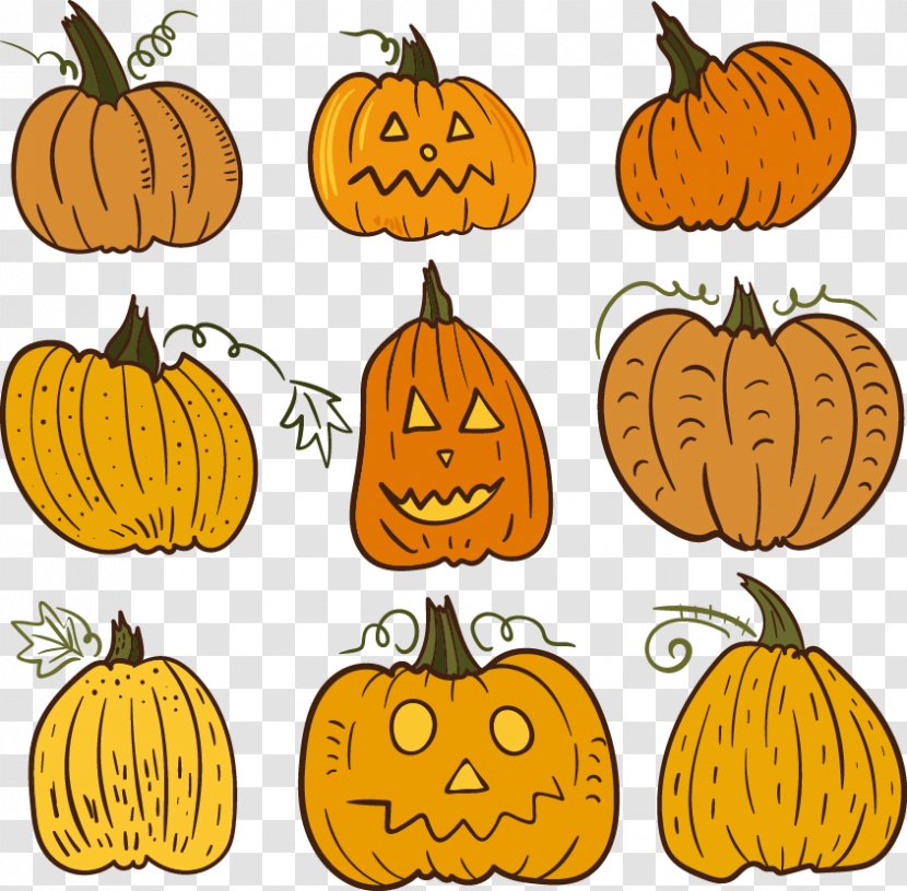 Painted Pumpkin - Jack O Lantern - Clip Art Transparent PNG