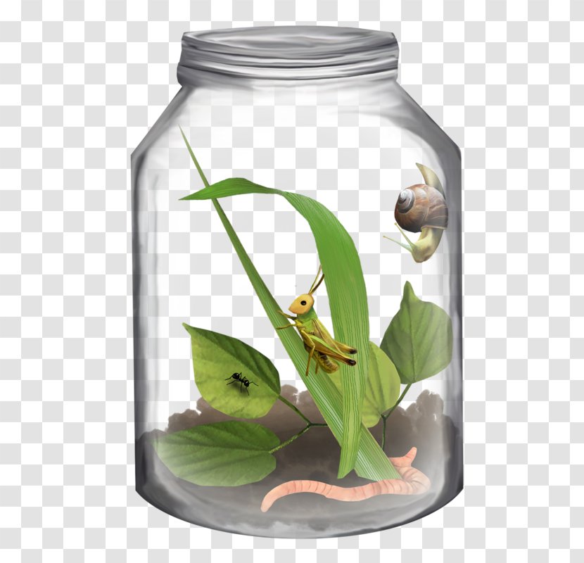 Bottle Jar Clip Art - Plastic - Bottling House Insects Transparent PNG