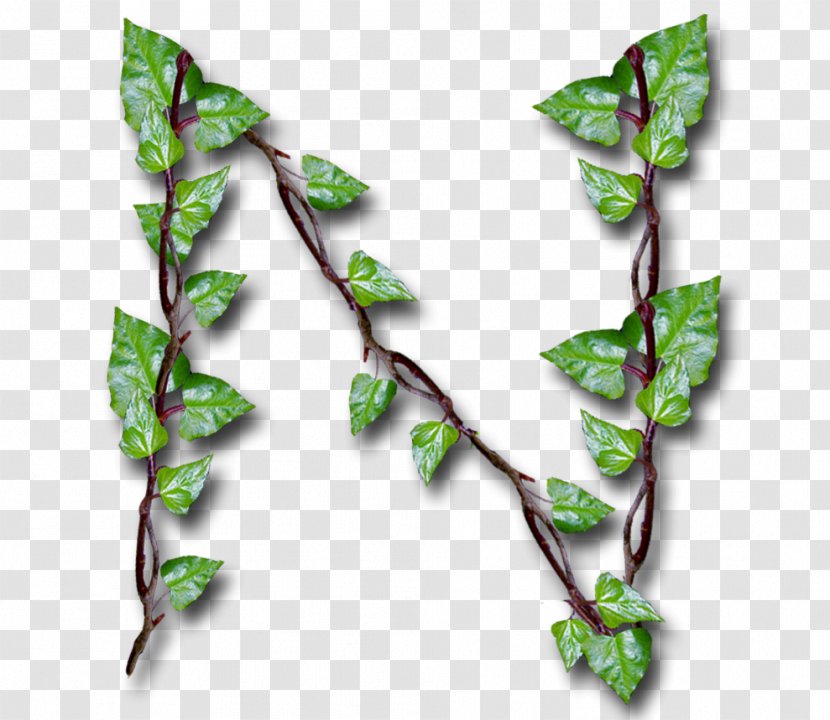 Twig Plant Stem Leaf Transparent PNG