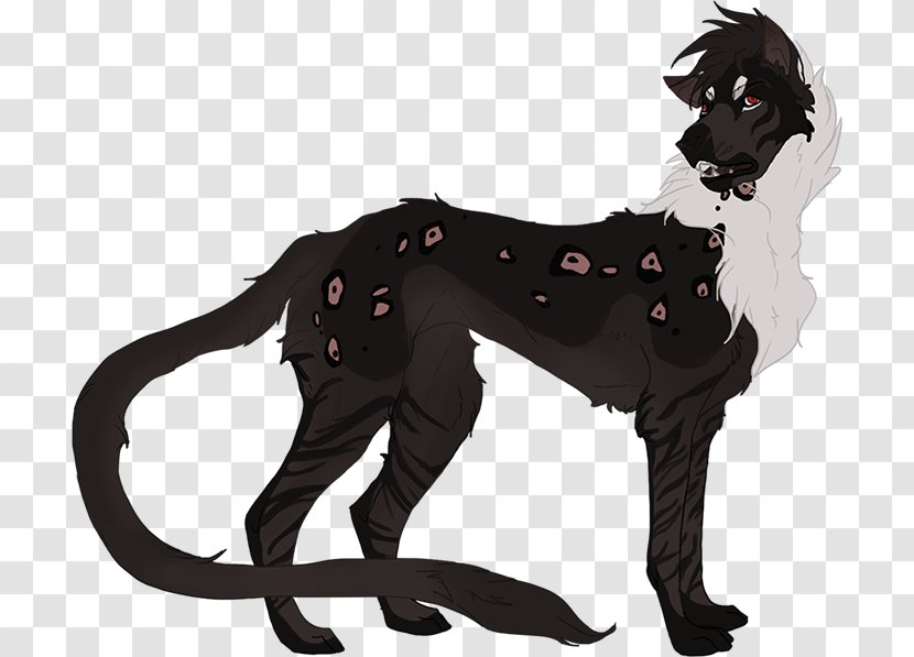 Cat Dog Lion Horse Mammal - Small To Medium Sized Cats Transparent PNG