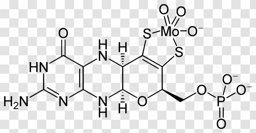 Molybdenum Cofactor Molybdopterin Enzyme - Oil Element Transparent PNG