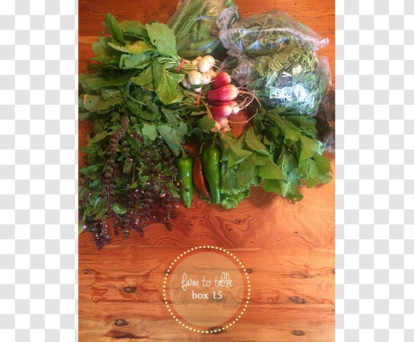 Leaf Vegetable Fruit - Plant - Farm To Table Transparent PNG