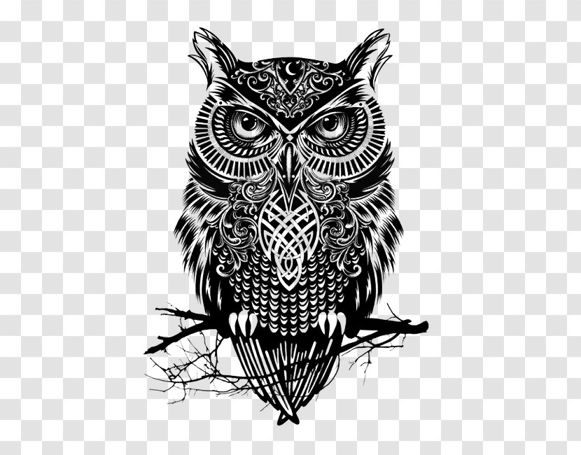 Owl Tattoo Drawing Flash - Vertebrate - Black Transparent PNG