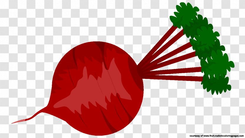 Vegetable Beetroot Clip Art - Red - Beet Transparent PNG