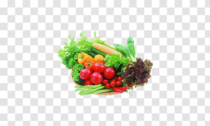 Organic Food Vegetable Salad Eating - Vegetarian - All Kinds Of Vegetables Map Transparent PNG