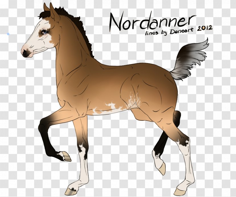 Mane Mustang Foal Stallion Colt Transparent PNG