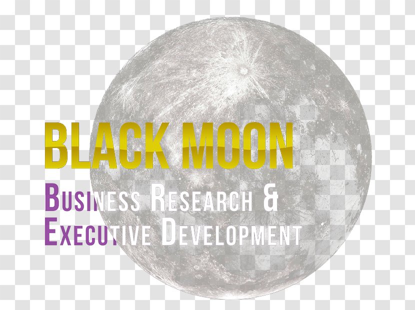 Management Business Limited Company Black Moon - Program Director Transparent PNG