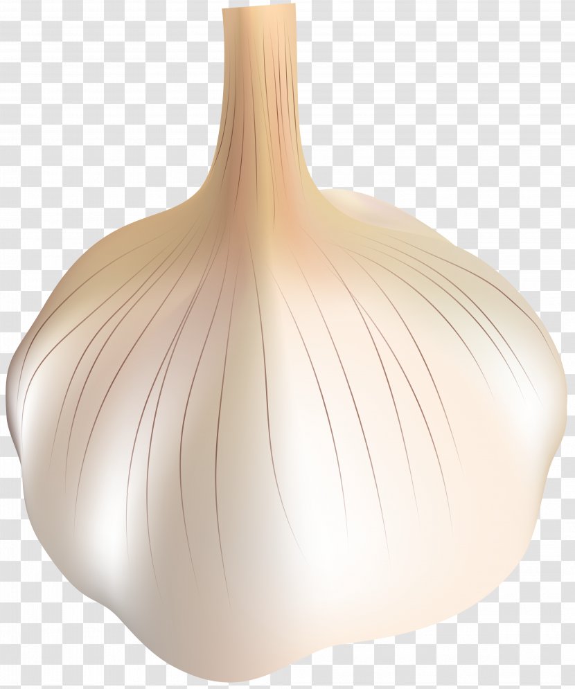 Garlic Transparent Clip Art - Flower - Watercolor Transparent PNG