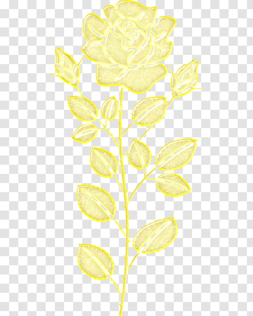 Petal Leaf Plant Stem Angle Font Transparent PNG