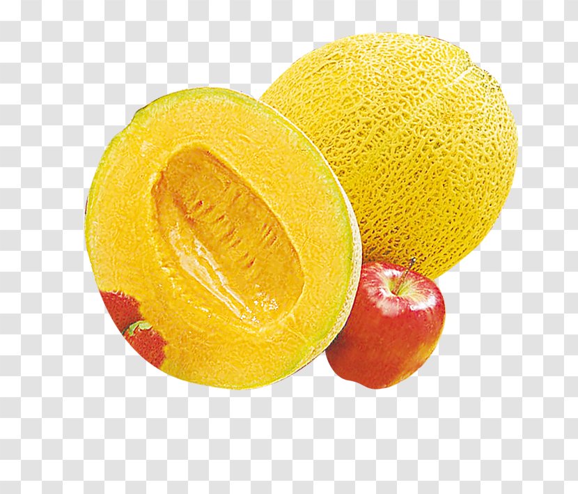 Lemon Orange Melon Cantaloupe - Food - Fruit Transparent PNG