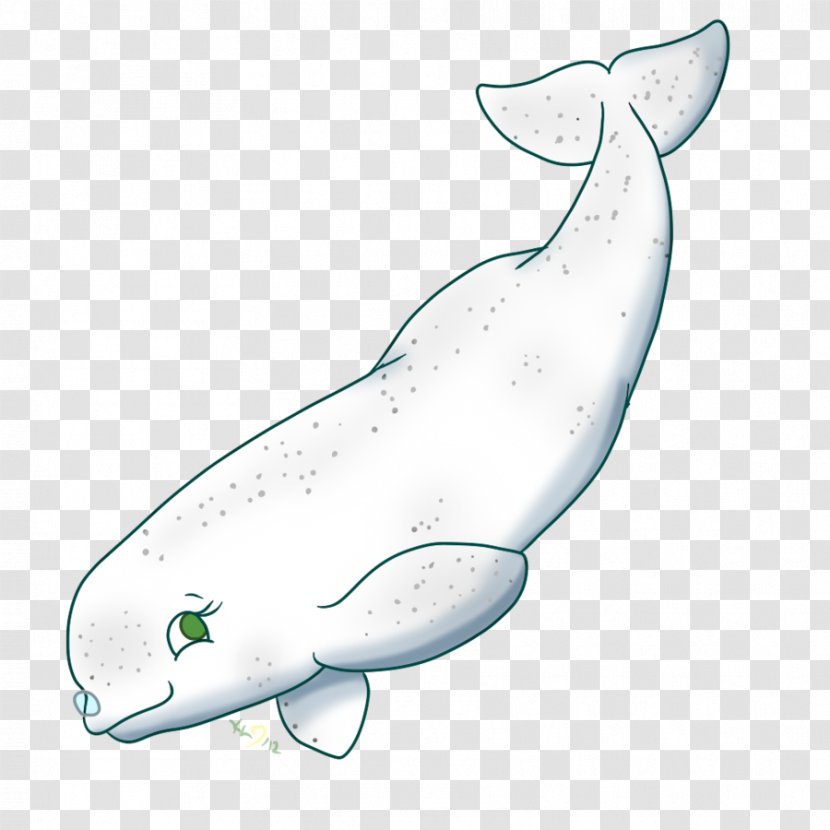 Beluga Whale Drawing Clip Art - Toothed - BABY SHARK Transparent PNG