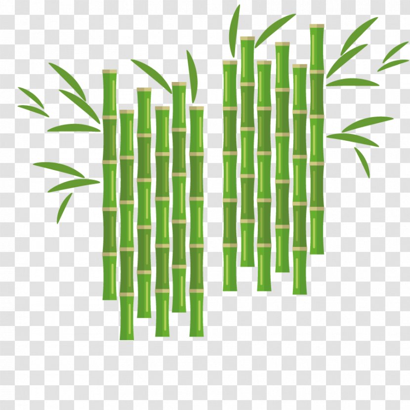 Euclidean Vector Flower Bamboo - Bamboe - Plant Transparent PNG