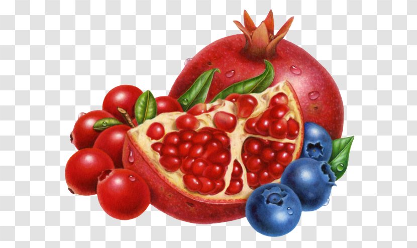 Frutti Di Bosco Muffin Cranberry Blueberry Clip Art - Produce - Pomegranate Fruit Lantern Transparent PNG