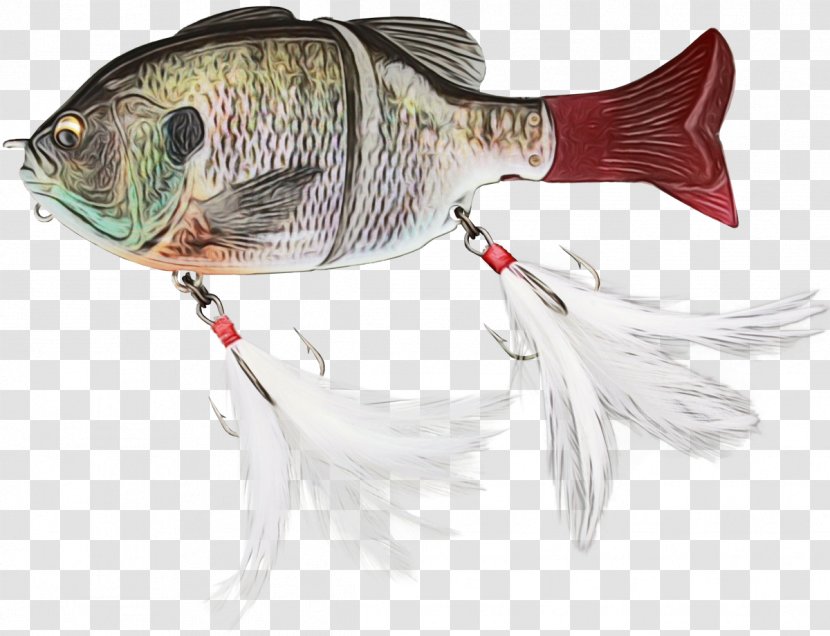 Fishing Cartoon - Bass - Rayfinned Fish Bonyfish Transparent PNG