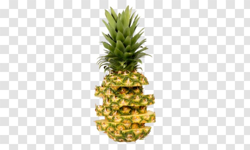 Pineapple Fruit Icon - Split Transparent PNG