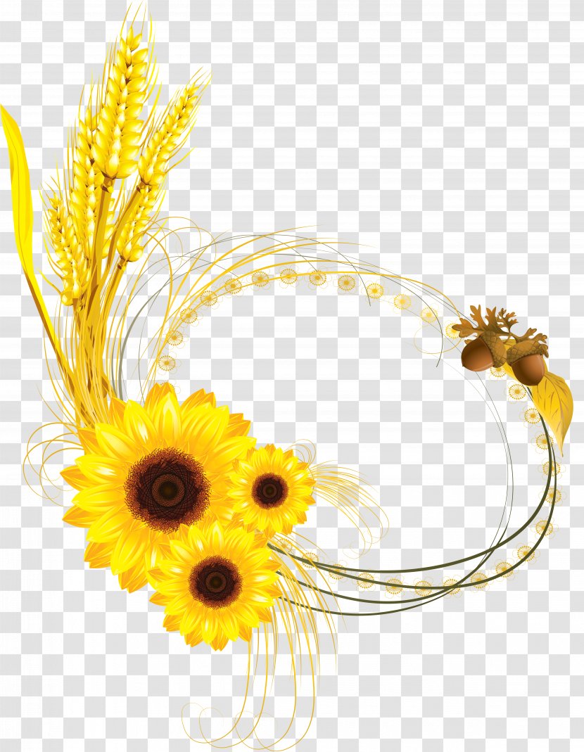 Common Sunflower Photography Royalty-free - Yellow - Wheat Transparent PNG