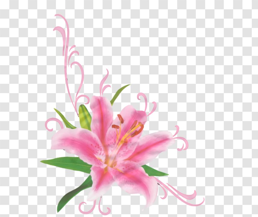 Flower Bouquet Floral Design Cut Flowers Clip Art - Peruvian Lily Transparent PNG