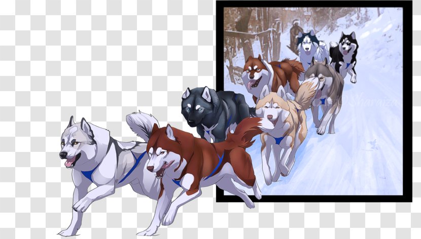 Siberian Husky Alaskan Malamute Sled Dog - Cartoon Transparent PNG