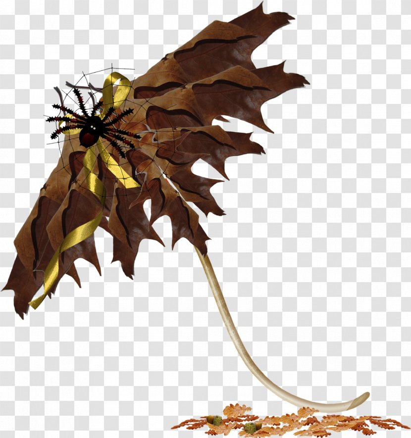 Root - Leaf - Autumn Transparent PNG