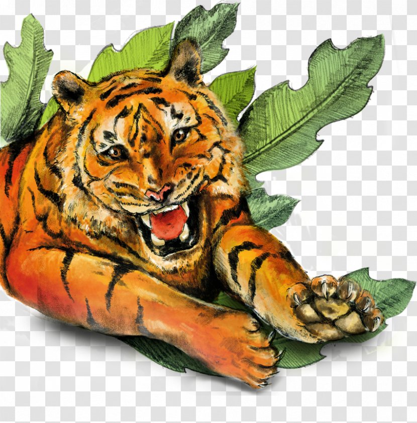 Tiger Cat Earth Wildlife Terrestrial Animal - Organism - SAVE PLANET Transparent PNG