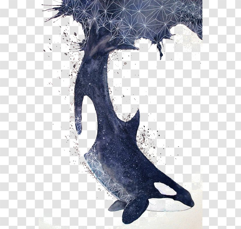 Killer Whale Baby Sea Lion Blue - False Transparent PNG