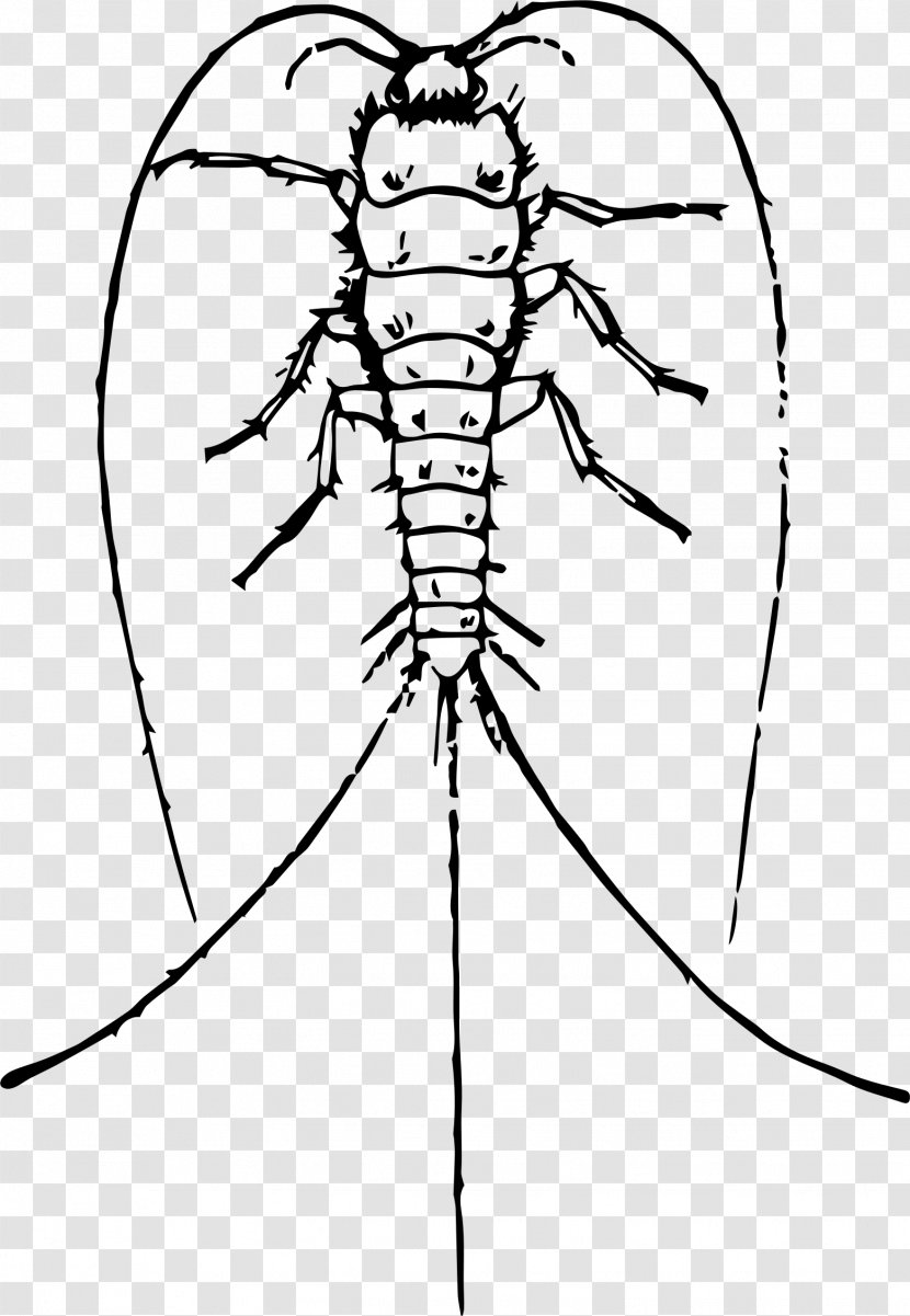 Insect Drawing Silverfish Clip Art - Silhouette Transparent PNG