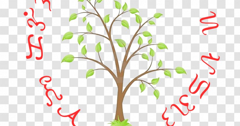 Tree Drawing Deciduous Transparent PNG