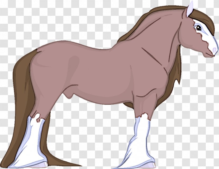 Horse Shetland Pony Cartoon Mane Mare - Liver - Stallion Transparent PNG