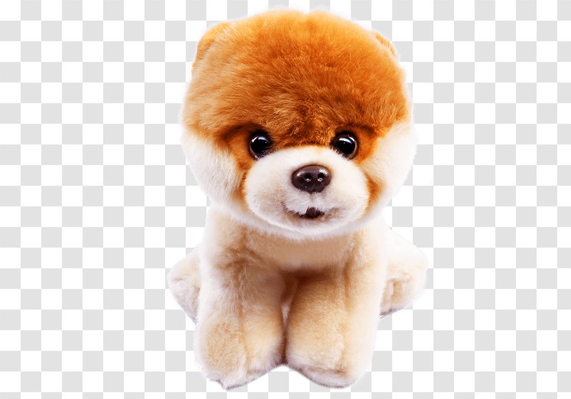 Pomeranian Stuffed Animals & Cuddly Toys German Spitz Puppy Boo - Toy Dog - Samurai Transparent PNG