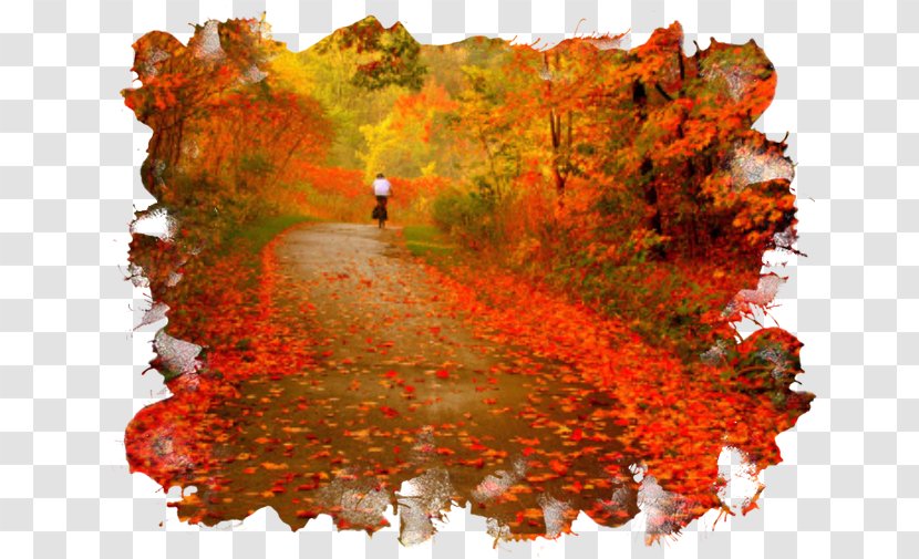 Golden Autumn Centerblog Season - Time Transparent PNG