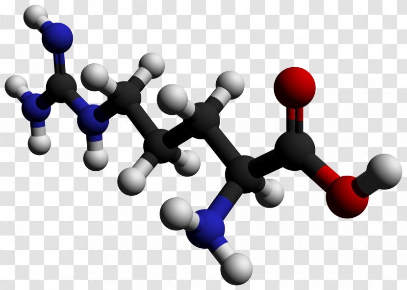 Asymmetric Dimethylarginine Essential Amino Acid - Lead Generation - Thumbtack Transparent PNG
