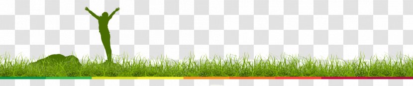 Wheatgrass Desktop Wallpaper Computer Commodity - Plant - Juice Up Transparent PNG