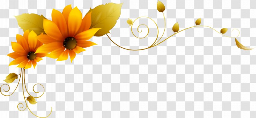 Image Television Photograph Graphics Mural - Flowering Plant - Floristry Transparent PNG