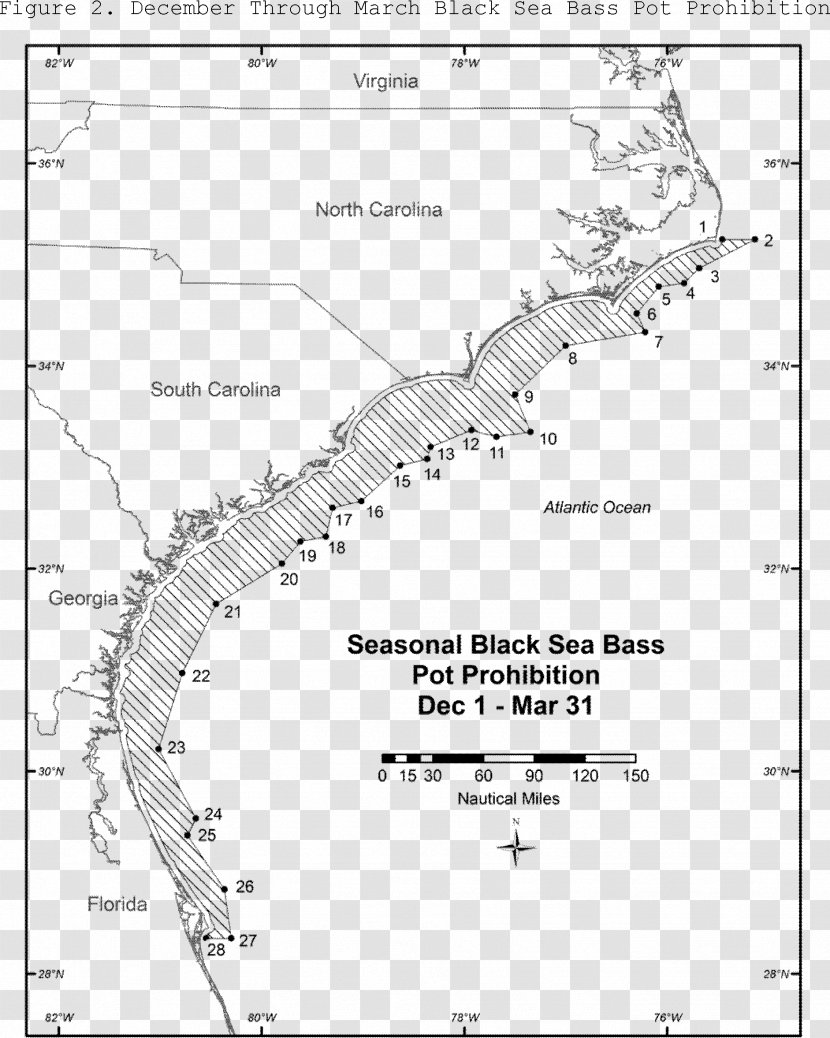 Fishing Black Sea Bass National Marine Fisheries Service - Area Transparent PNG