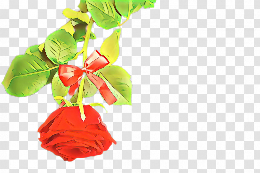 Red Flower Leaf Plant Cut Flowers Transparent PNG